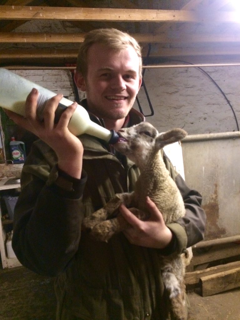 New uses for wine bottles, great Yfc meeting tonight! #lambing #Yfc