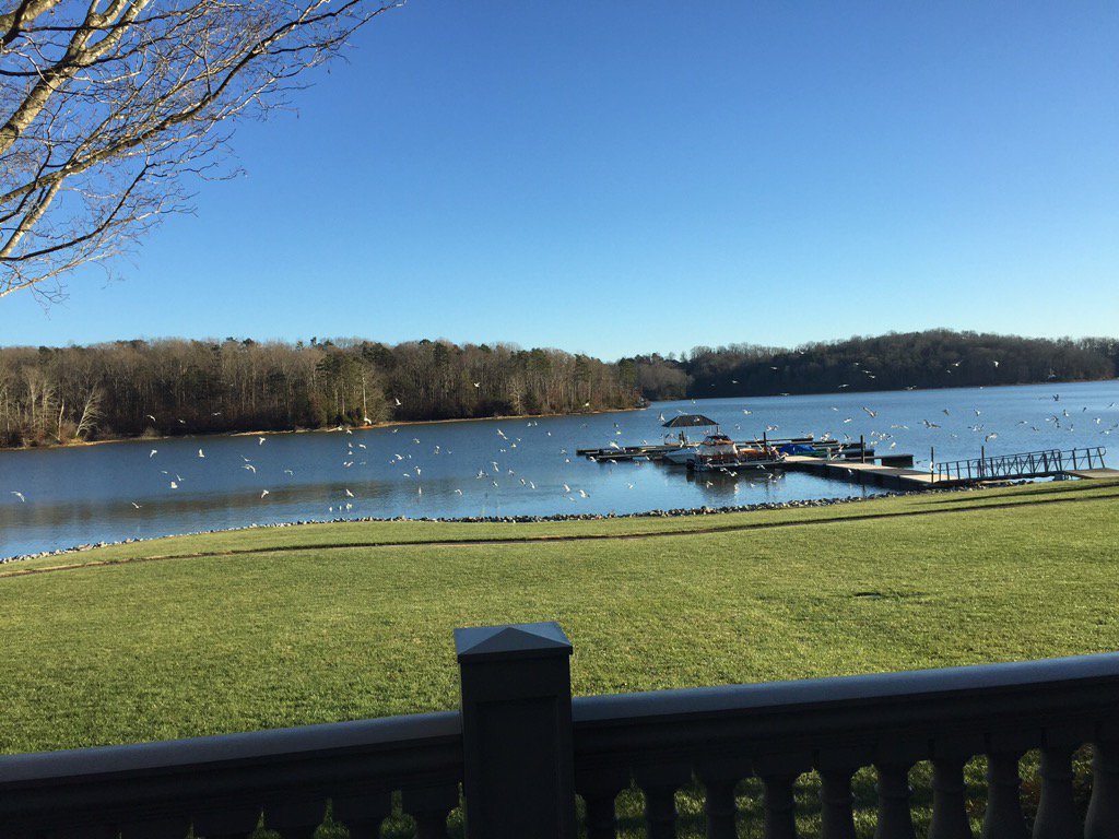 DavidCoffeyTN's tweet photo. The lake gulls decided they liked us yesterday, but gee-whiz cold. https://t.co/ldabCDZGBn