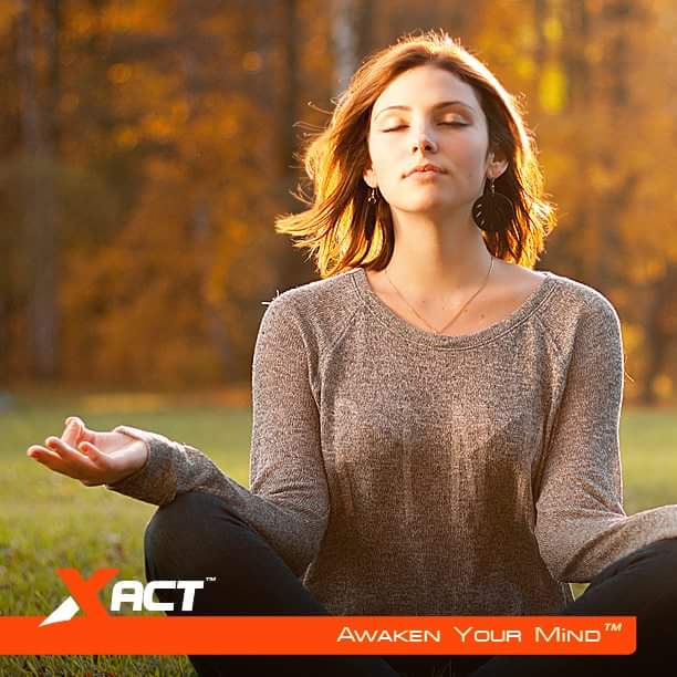 Xactmind tweet picture