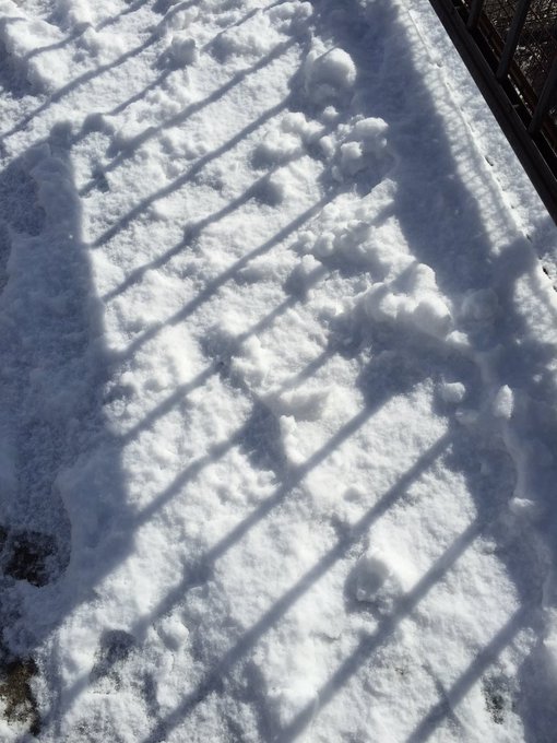 はっきりわかんだねのtwitterイラスト検索結果 古い順