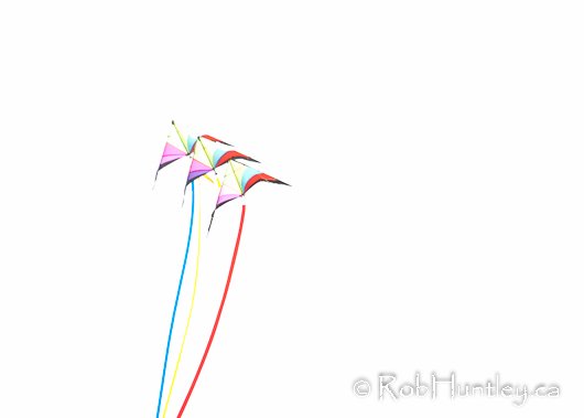 KAPnRob's tweet photo. Kites On White - 1. https://t.co/eXPyEVQ5S8 #kite #whitebackground #flying #photo #watercoloureffect #fineart #art https://t.co/er24wO7IoH