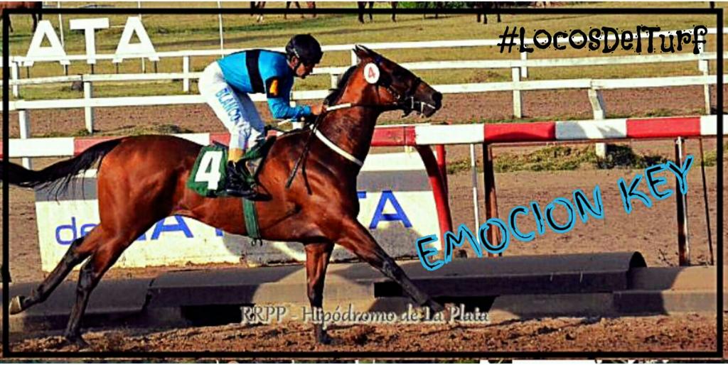 LocosdelTurfWeb's tweet photo. #TURF #locosdelturf EMOCION KEY con Rodrigo Blanco se queda con el Clásico Emilio Casares en el Bosque @Elalfalfar https://t.co/OK3BJqvoBi