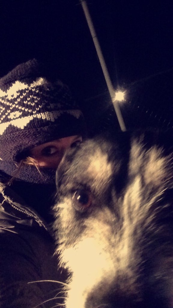LauraJHolz's tweet photo. The things I do for these pups #negativewindchill https://t.co/bYtEkUKn0f