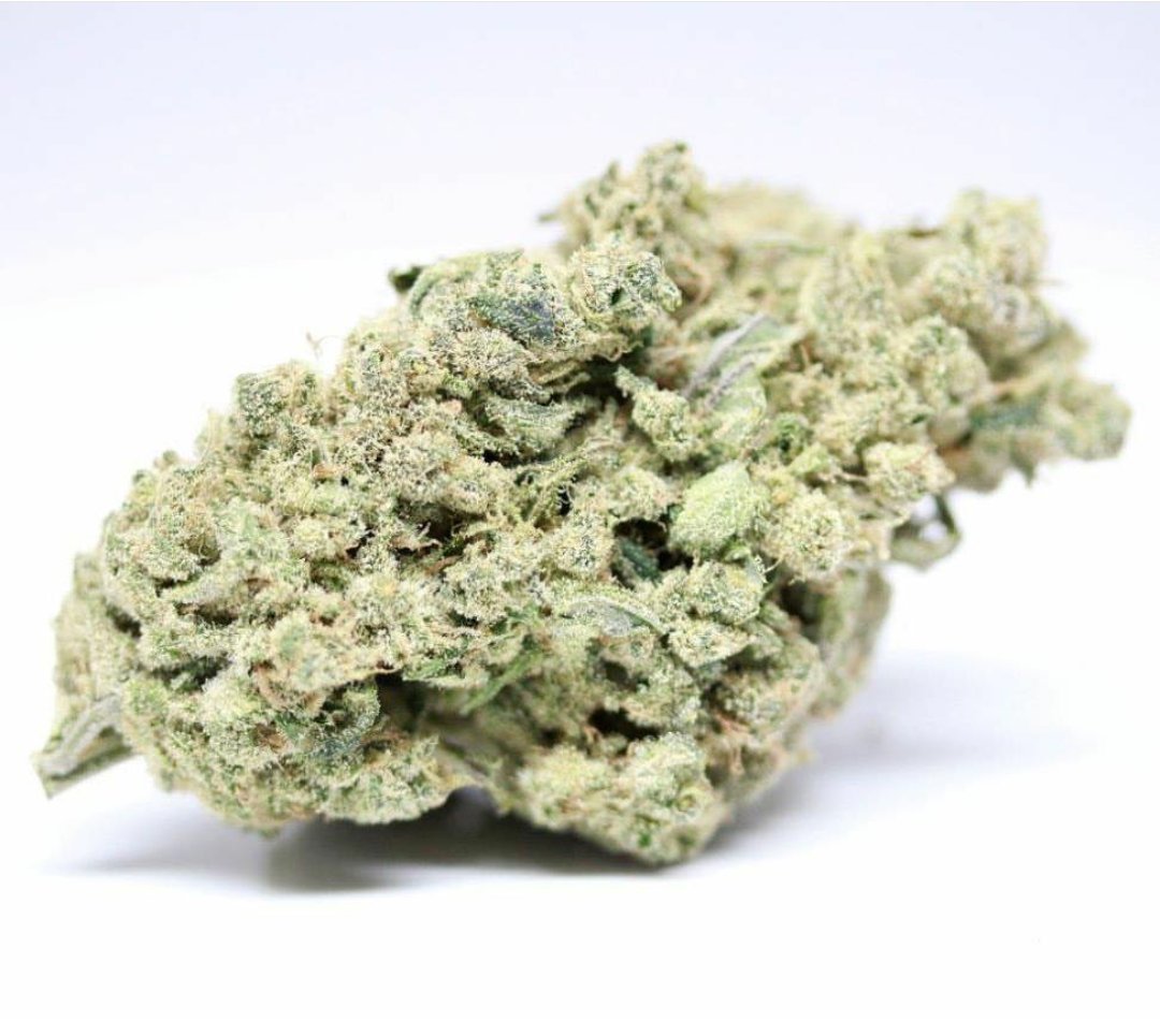 Hawaiian Dutch by <a href="/SubExcitement/">Subdued Excitement</a> is back at Green Life Cannabis with all of its tropical goodness! #subx #hdutch
