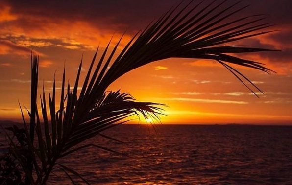 FuninFiji's tweet photo. Where are you spending this Friday evening? https://t.co/UWqttPQPno via @TourismFiji #fiji #friday https://t.co/VUegOhr8tF
