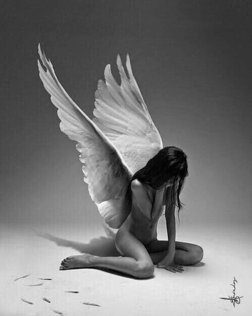 AngelPhoenix888's tweet image. Missing you ...