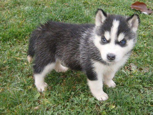 My baby😍😍😍
