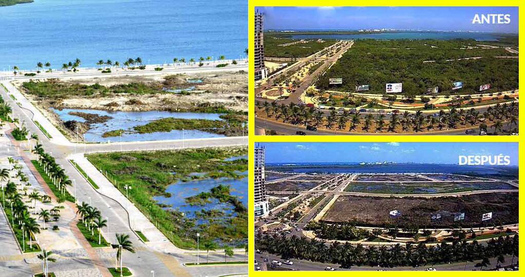 Cancun (Messico): distrutta millenaria mangrovia di Tajamar 