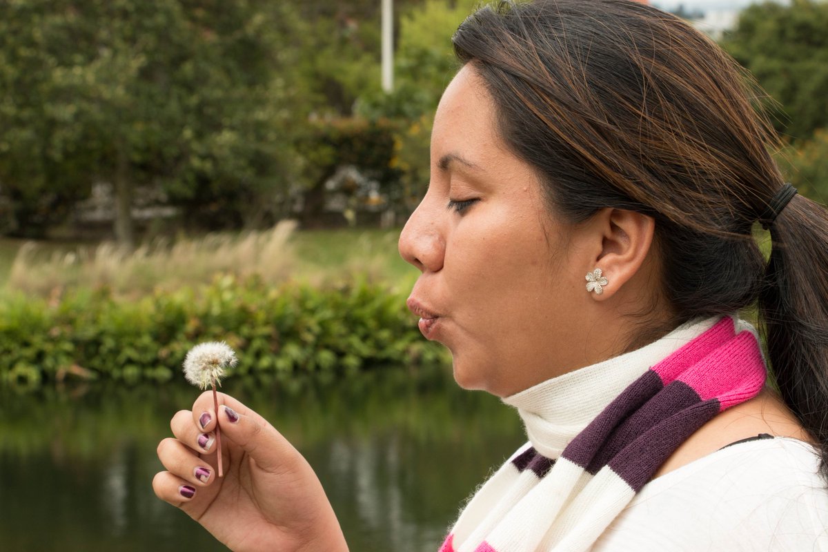 Roberto Bonilla tweet media