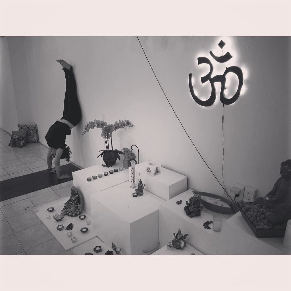 brendatrevino's tweet photo. 18 : #StartWithMagic2016 / #Adhomukhavrsksasana
#sukhinoyogachallenge #iwill #fuelhappine… https://t.co/JY9adMsbDC) https://t.co/4QgM3Jks2E