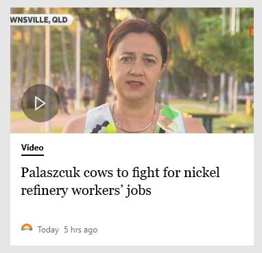 chrisdotpy's tweet image. It&apos;s OK. The premier has her cows on the ready.