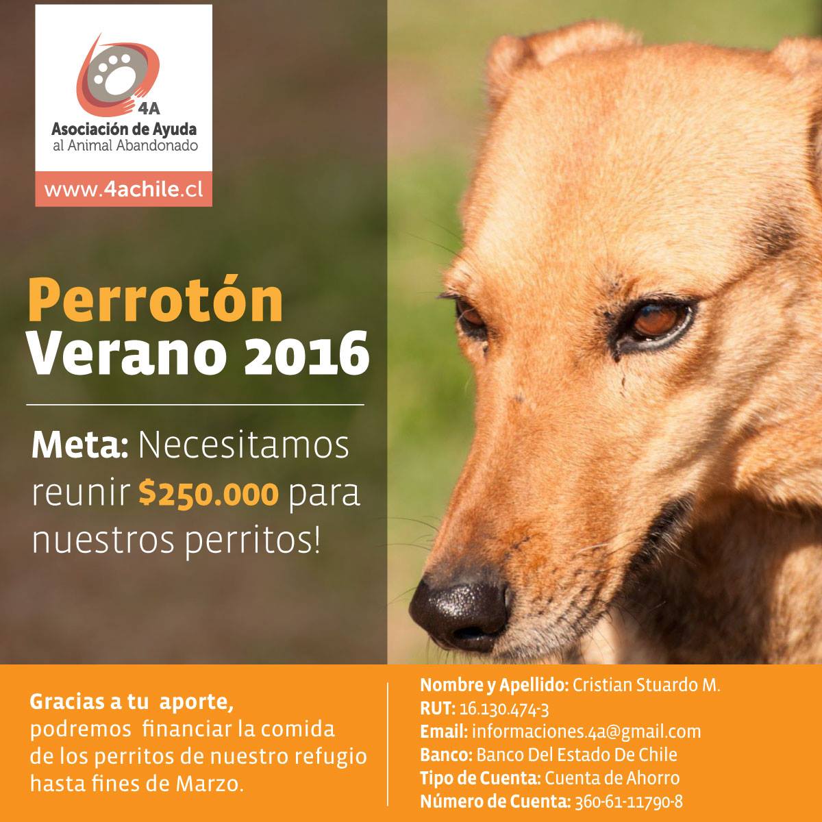 cuatroa_uchile tweet media
