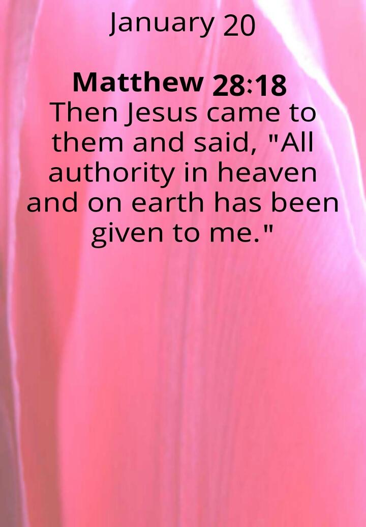 LiapengM's tweet image. #InspiringBibleVersesDaily 
Matthew 28:18
Then Jesus came to them and said, "All au..
play.google.com/store/apps/det…
