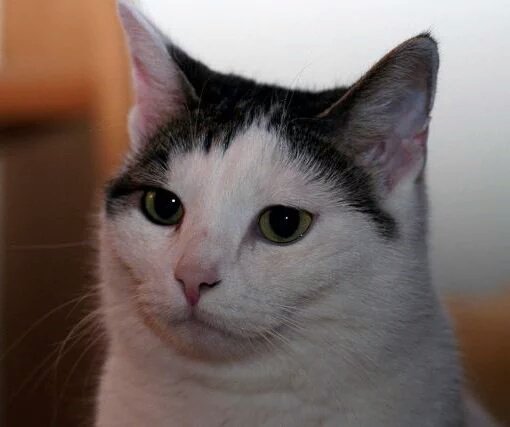 Atilabf's tweet photo. falei q ia dormir / não pediu pra eu ficar https://t.co/2FP69qTsWN