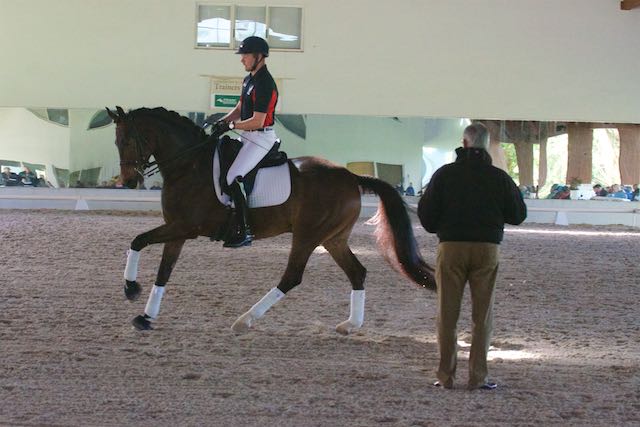 JenniferOBryant's tweet photo. Could you ride this well without stirrups? Endel Ots @ the #USDFTC w/Johann Hinnemann. #dressage @USDF https://t.co/NLqFsQH1mg