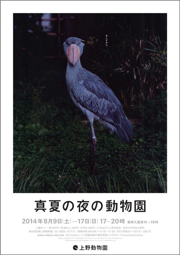全ツイートのリツイート数の累計は、断トツでハシビロコウがトップ