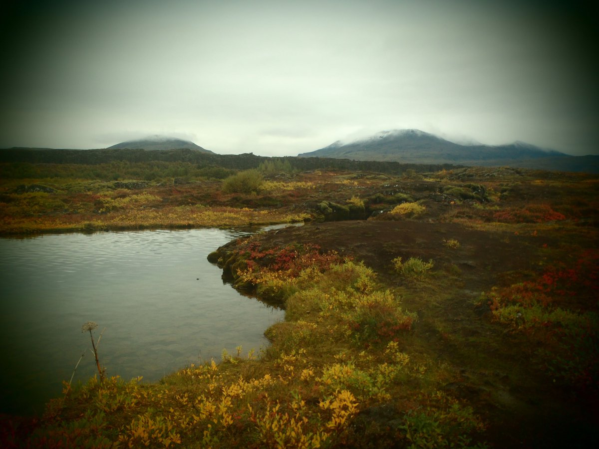 ElieRaflowitz's tweet photo. #Flashback to #Iceland. #FBF #Reyjkavik #Travel #Silfa #GoldenCircle https://t.co/f07zGbbs3w