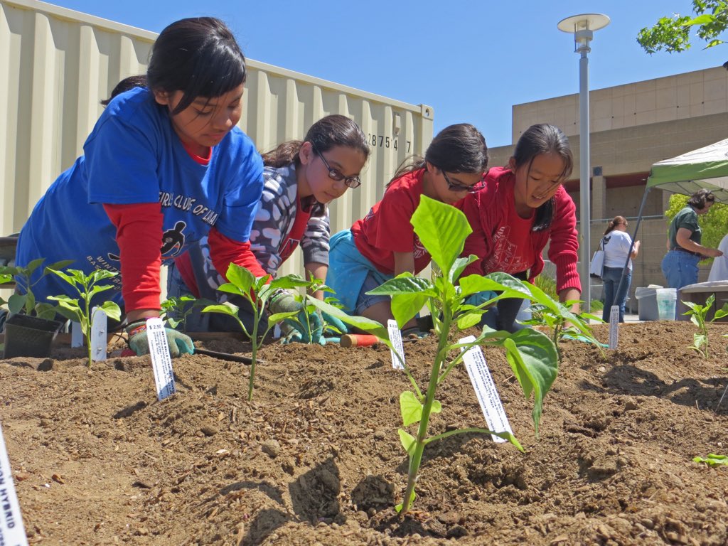 CaliforniaEPA's tweet photo. .@OCDeptofEd wins #GEELA for #ProjectZeroWaste β»οΈ 400k lbs of waste reduction yearly! @AsmHarper presents award https://t.co/BkIjUegwrP