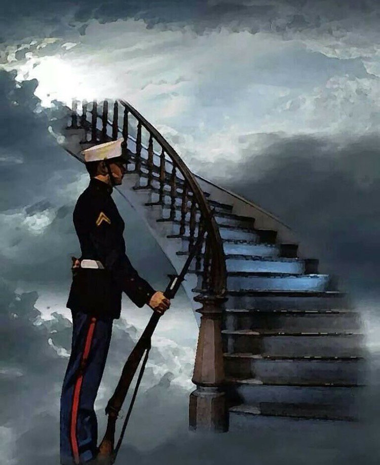 OpHealingPaws's tweet photo. #Marines #MarineCorps #USMC #semperfi #oorah #untilvalhalla https://t.co/uqbkmD321k