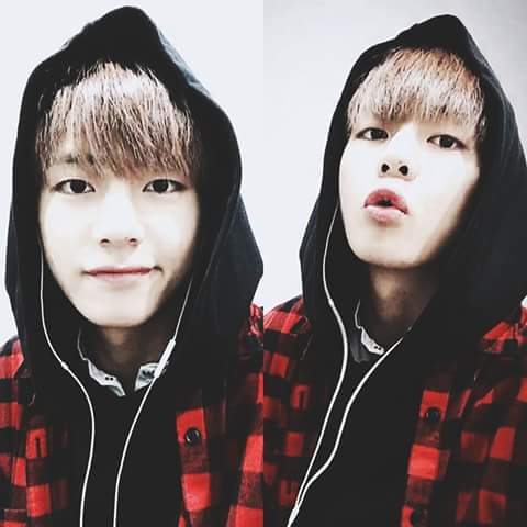 MirnaV_Kim's tweet photo. Si no publico después es por culpa de la foto #ARMYselcaday https://t.co/1HD81ey1y2