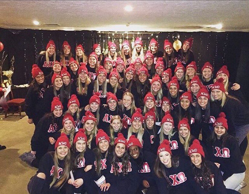 Let me introduce you to the best pledge class to ever exist.