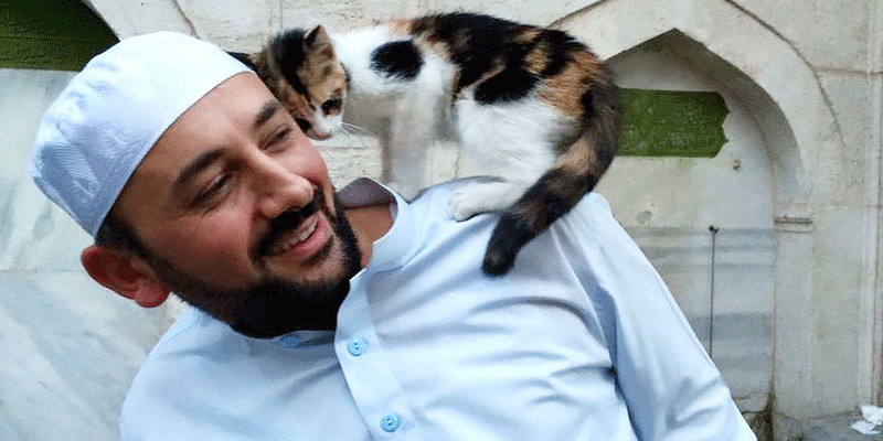 people's tweet photo. Istanbul mosque takes in stray cats for winter https://t.co/D8XdGUWv20 via @peoplepets https://t.co/3SHzXgRPzo