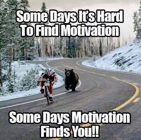 HIITbootcamps's tweet photo. Need some help staying motivated? Come work out with a positive group of people at #hiitbootcamps https://t.co/9QMH9BEKTz