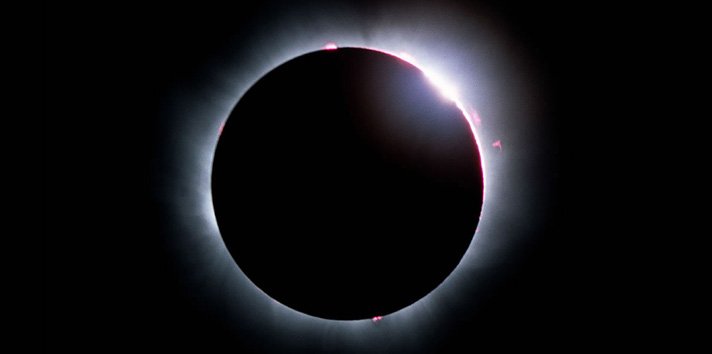 LINIKINI by FUTR tweet media