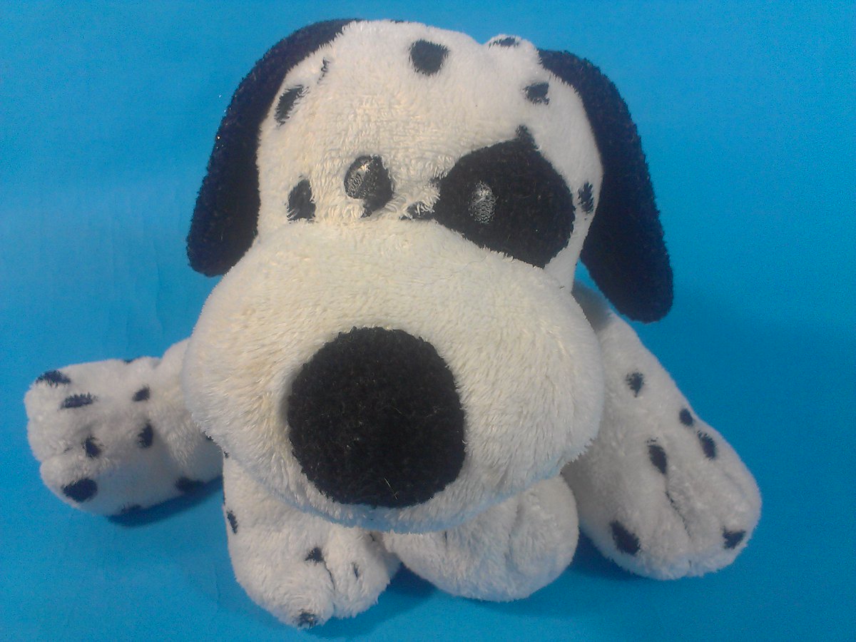 STEEL5757's tweet photo. #TyPluffies #Dotters the #Puppy #Dalmatian =>> https://t.co/vreT0JHI4X? <<= #Firehousepet #cute #hope https://t.co/87TdZ6tncq