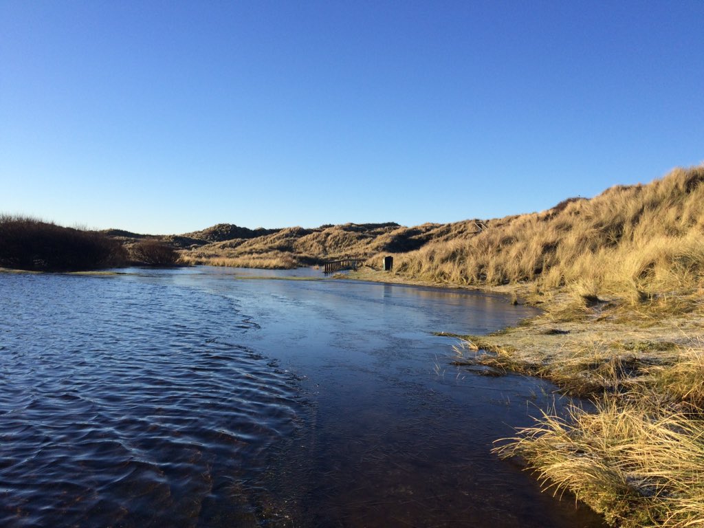 Not often you see frozen water at #ynyslas dunes @DerekTheWeather #dyfivalley