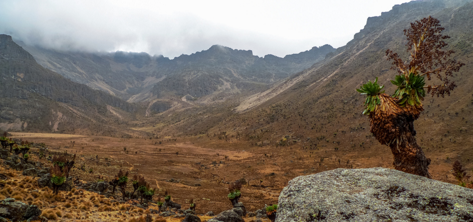 africapoint's tweet photo. Mount Kenya, Africa’s second-highest mountain &amp; also one of its most beautiful. #MagicalKenya #hiking #adventure https://t.co/p6VHboabEU
