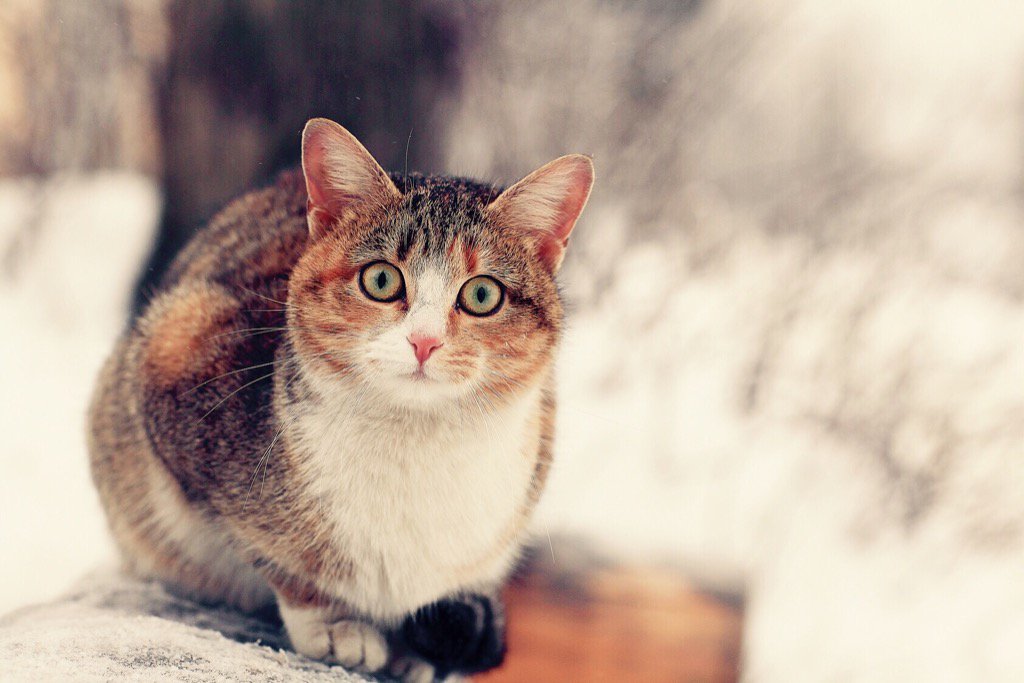 Lütfen Dikkat! 
Bu soğuk havalarda dışarıda olmak yerine dikkat etmediğiniz herhangi bir köşede olabilirim.