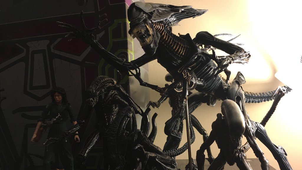 TFReview16's tweet photo. #alien #xenomorph #shelfupdate #ripley #alienqueen #dogalien #warrioralien https://t.co/HY9hU9pq5g