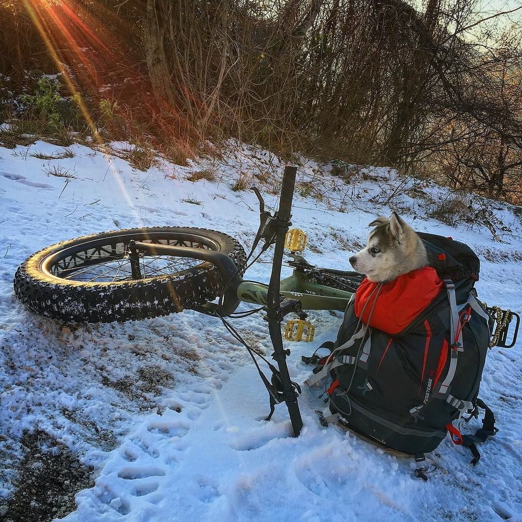 TuttoMTB's tweet photo. macblender / #adventure #allmountain #adventurevisuals #bike #bikerslove #fatbike #gopro #explore #exploreeverythin… https://t.co/9GWh4vHTln