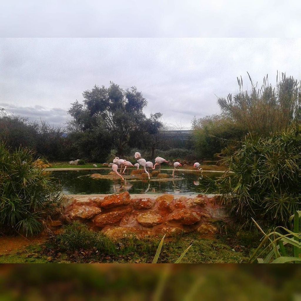 AthensInsta's tweet photo. #photooftheday #nature #reasonstovisitgreece #welovegreece #lovegreece #igergreece #photos… https://t.co/YbH5JlOMJL https://t.co/VDWlo0MJJE