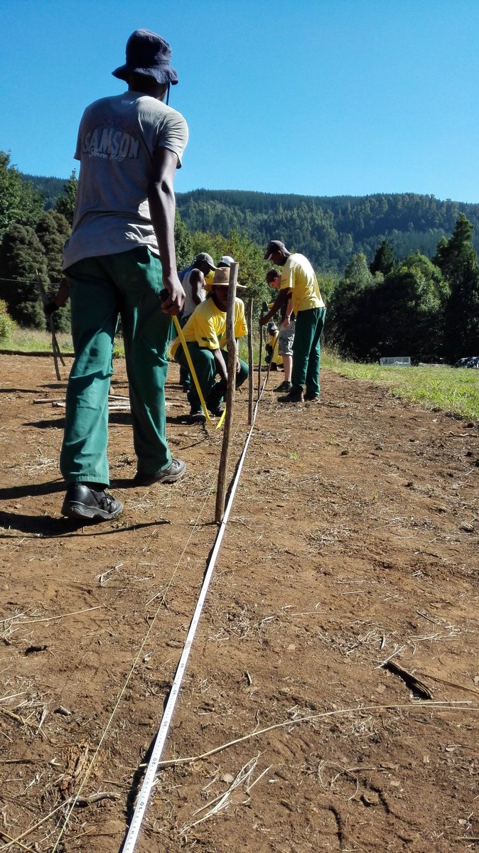 The Cape Parrot Project nursery has broken ground and lines are being laid for structural poles.