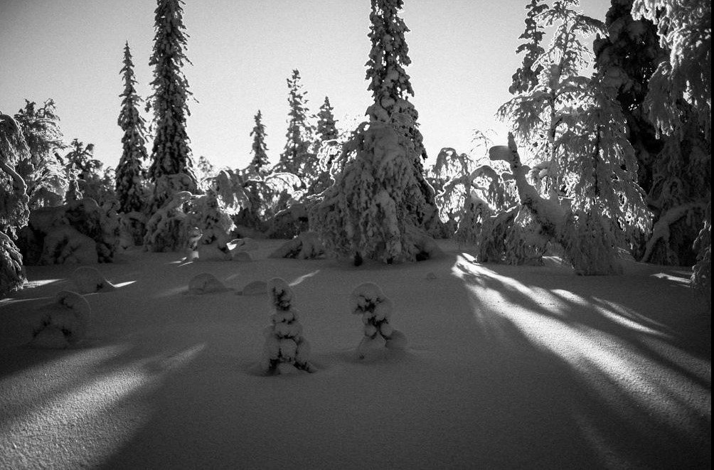 DiscoverFinland's tweet photo. An exhibition of nature photography by the late Juha Periniva from Ivalo now in @SiidaInari: https://t.co/pN53R8bzcH https://t.co/75VZ12ZTcJ