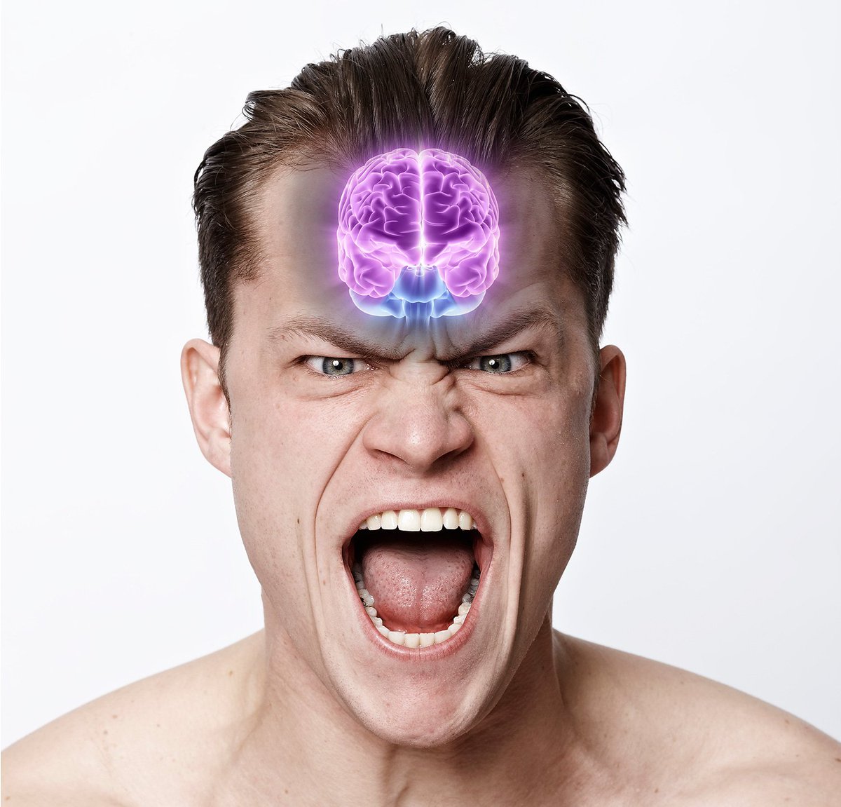 ChudoTechniki's tweet image. Агрессивное поведение связали с маленьким мозгом. chudotechniki.ru/sila-iest-uma-… У сдержанных - новый повод для гордости.