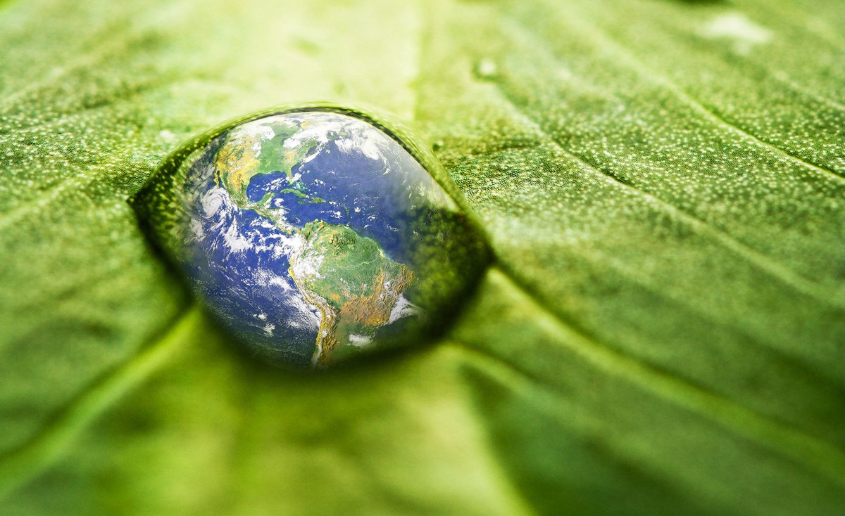 Wat is LCA en EPD? #houtindebouw #kozijnenvanhout 
nbvt.nl/blog/19-01-201…