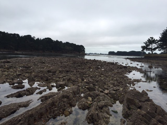 MaisonLocker's tweet image. Photo de Berder. Dommage pour le soleil. Il est vraiement que nous sommes en janvier. Vivement le printemps !