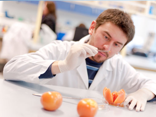 BIOTECH_SI's tweet photo. Consideran a la biotecnología útil contra la escasez de alimentos https://t.co/4KiyisKFtX https://t.co/VJZMOV04PE