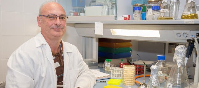 informacion_es's tweet photo. Postulan a un investigador alicantino para el Nobel https://t.co/5TZWw3RfY1 #Nobel #Alicante https://t.co/VIQevkTysA