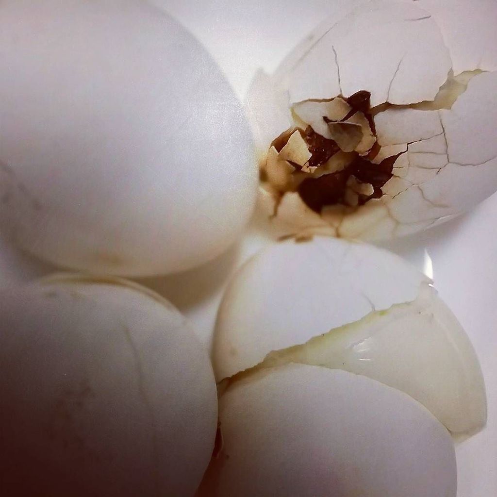 pullingcurls's tweet photo. That time the water all boiled out of the egg pan.... #explodingeggs #oops #fail #eggs https://t.co/euLTJEk4U0 https://t.co/0jHYUiDqXC