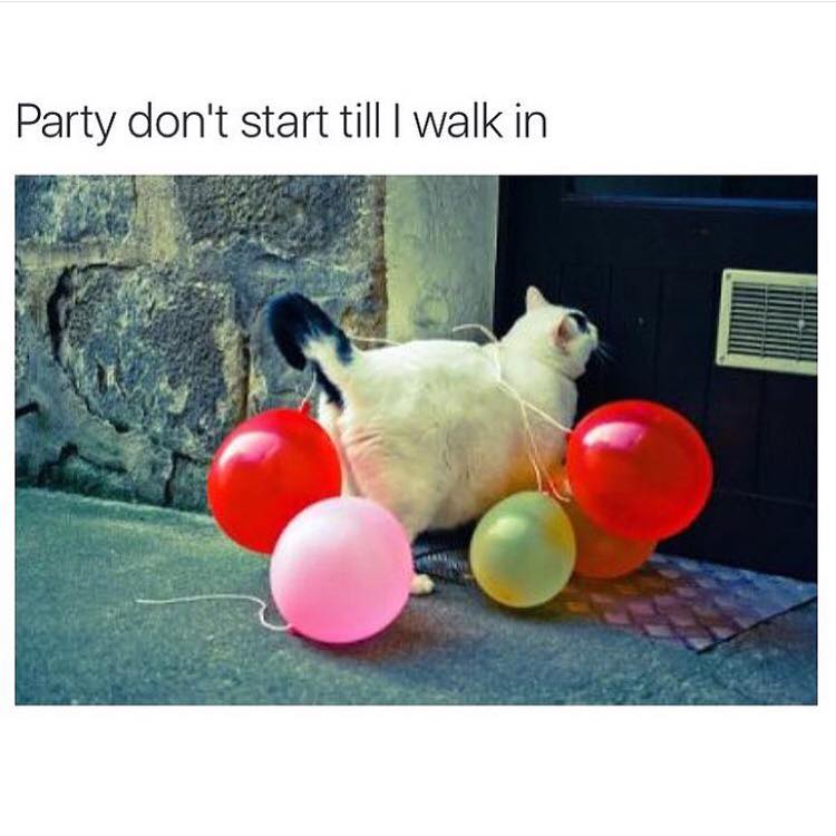 accessrentals's tweet photo. Walking to pre drinks like https://t.co/C2uj6P6Z6C
