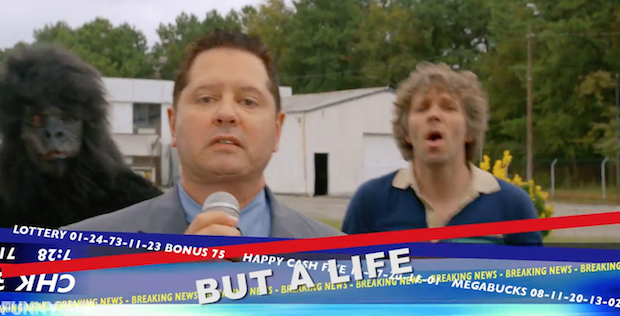 Stereogum tweet media