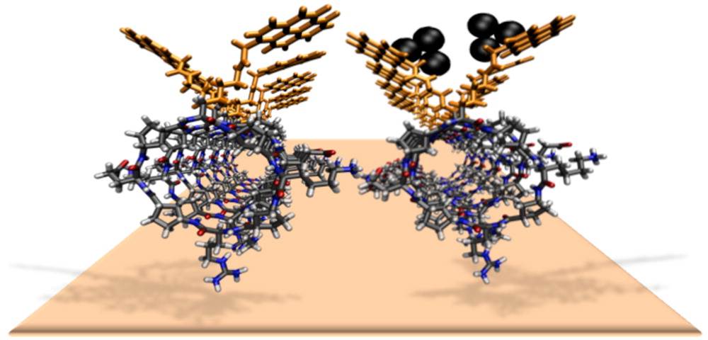 ciqususc's tweet image. New #weakinteractions of subatomic #silverclusters with other #organicmolecules on @acsnano usc.es/ciqus/en/news/…