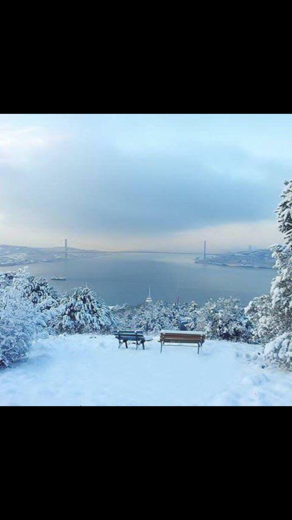 Selami Gülay (@selamigulay) on Twitter photo 