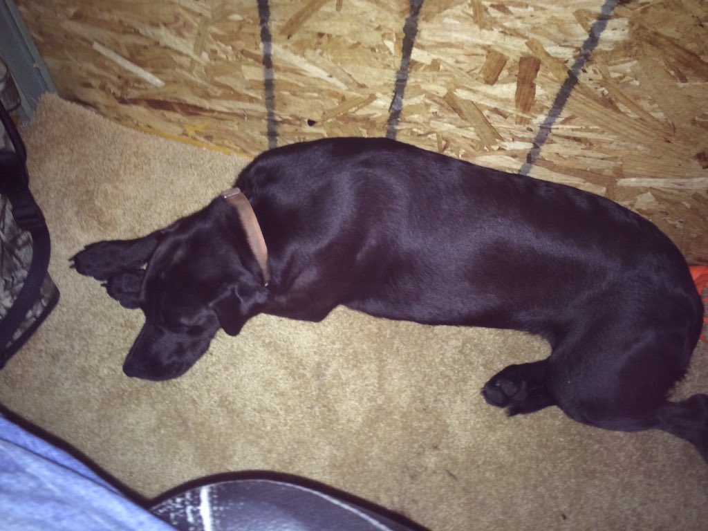 chadbeave16's tweet photo. Wish I were in the stand with my dog rn school boring af https://t.co/xYSL3kMiYE