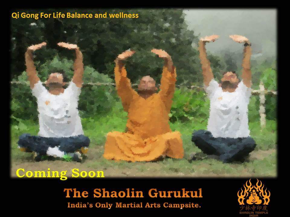 ShaolinTempleIn's tweet photo. Practicing Qi gong is so simple yet powerful. You cannot do it wrong you can do it only good,better best.9717017823 https://t.co/mSjGFDQ5zr