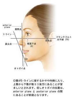 横顔美人のtwitterイラスト検索結果 古い順